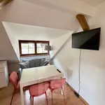 Rent 1 bedroom apartment in Beroun