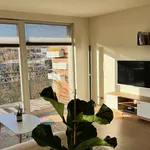 Rent 2 bedroom apartment of 90 m² in Prague