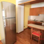 Rent 2 bedroom apartment of 53 m² in Torino