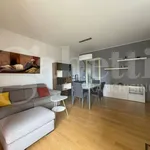 Rent 2 bedroom apartment of 68 m² in Milano