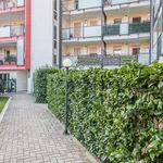 Rent 1 bedroom apartment of 50 m² in milan