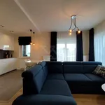 Rent 3 bedroom apartment of 75 m² in Lublin