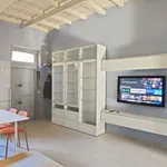 Rent 1 bedroom apartment in milan