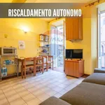 Rent 1 bedroom apartment of 30 m² in Pavia