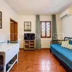 Rent 1 bedroom apartment of 40 m² in Firenze