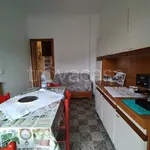 Rent 2 bedroom apartment of 50 m² in Torino