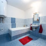 Pronajměte si 4 ložnic/e byt o rozloze 102 m² v Holubice