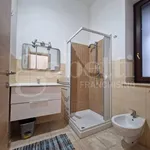 Rent 2 bedroom apartment of 55 m² in Brindisi