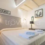 Rent 2 bedroom apartment of 40 m² in Firenze