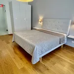 Rent 2 bedroom apartment of 62 m² in Brno