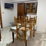 Rent 4 bedroom apartment of 110 m² in Catanzaro