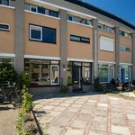 Diabellistraat, Capelle aan den IJssel - Amsterdam Apartments for Rent