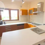 Rent 2 bedroom apartment of 50 m² in L'Aquila