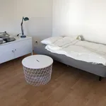 Miete 1 Schlafzimmer wohnung von 25 m² in Frankfurt