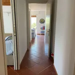 Rent 5 bedroom apartment of 121 m² in Castiglione della Pescaia