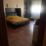 Rent 6 bedroom apartment of 195 m² in Frosinone