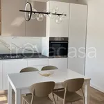 Rent 3 bedroom apartment of 66 m² in Senigallia