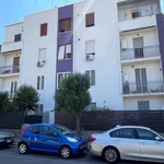 Rent 3 bedroom apartment of 70 m² in Ciampino