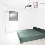 Rent 2 bedroom apartment of 48 m² in Łódź