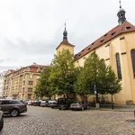 Rent 1 bedroom apartment of 48 m² in Prague