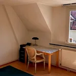 Rent 5 bedroom house in Basel