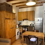 Rent 1 bedroom apartment of 30 m² in Milano