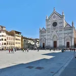 Rent 1 bedroom apartment of 35 m² in Florence