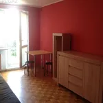 Rent 2 bedroom apartment of 38 m² in Poznań