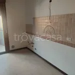 Affitto 5 camera appartamento di 180 m² in Padova