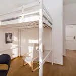 Rent 5 bedroom apartment in Prague