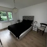 Rent 1 bedroom apartment of 52 m² in Krefeld