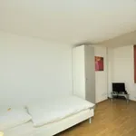 Miete 1 Schlafzimmer wohnung von 21 m² in Zürich