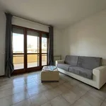 Rent 3 bedroom apartment of 65 m² in Pisa