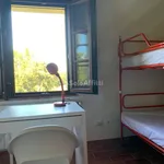 Rent 4 bedroom apartment of 58 m² in Siena