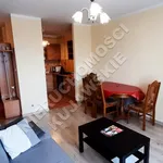 Rent 2 bedroom apartment of 36 m² in Włocławek