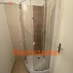 Rent 2 bedroom apartment of 34 m² in Frýdek-Místek