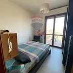 Rent 2 bedroom apartment of 50 m² in Roma