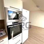 Rent 4 bedroom apartment of 92 m² in Jinačovice