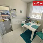 Rent 1 bedroom house in Zlín