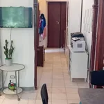 Rent 4 bedroom apartment of 100 m² in Rome