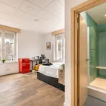 Alquilo 4 dormitorio apartamento de 20 m² en Madrid