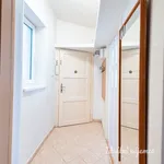 Pronajměte si 2 ložnic/e byt o rozloze 45 m² v Prague