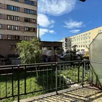 Rent 3 bedroom apartment of 80 m² in Milano