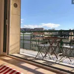 Rent 3 bedroom apartment of 75 m² in Marseille