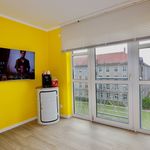 Miete 1 Schlafzimmer wohnung von 37 m² in Dresden