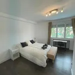 Rent 9 bedroom apartment in Madrid