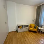 Rent 1 bedroom apartment of 27 m² in Brno