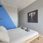 Rent a room in lisbon