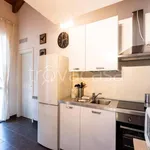 Rent 1 bedroom apartment of 40 m² in Milano