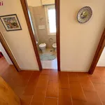 Rent 4 bedroom apartment of 70 m² in Monte Argentario